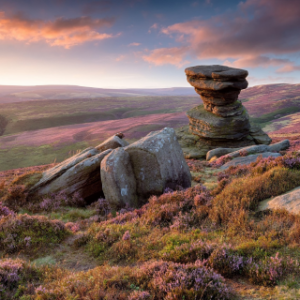 Explore Derbyshire's Live-in Care Services