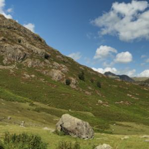 Explore Cumbria's Live-in Care Services