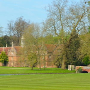 Explore Essex's Live-in Care Services