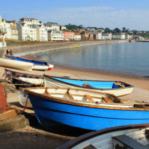 Explore Devon's Live-in Care Services