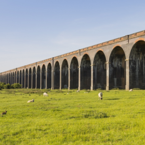 Explore Northhampton Live-in Care Services