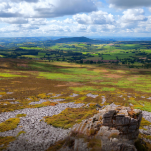 Explore Shopshire Live-in Care Services