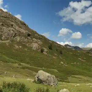 Explore Cumbria's Live-in Care Services