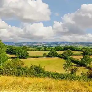 Explore Somerset Live-in Care Services