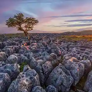 ExploreYorkshire Live-in Care Services