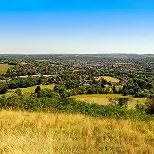 Explore Surrey  Live-in Care Services