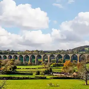 Explore Wrexham's Live-in Care Services