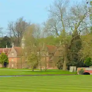 Explore Essex's Live-in Care Services