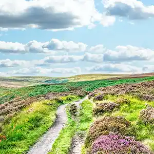 View of the West Yorkshire Moors.